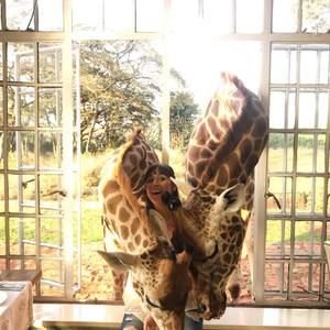 Meet your Posher, Melissa